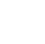 wtw lanka footer-shape